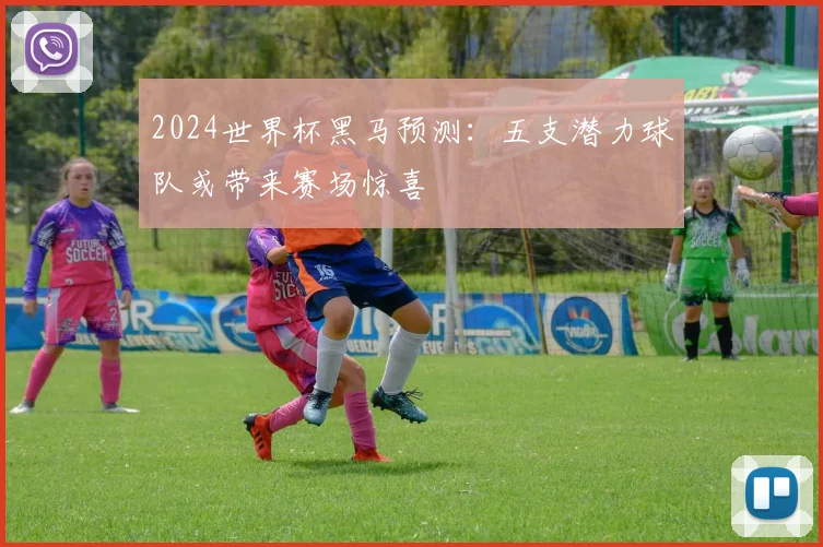 2024世界杯黑马预测:五支潜力球队或带来赛场惊喜