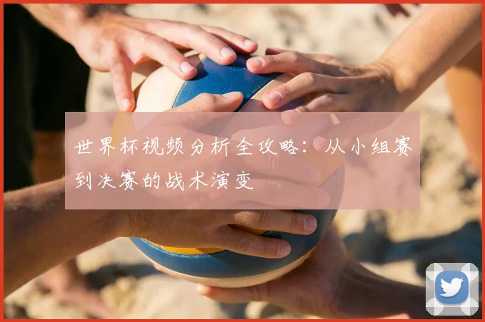 世界杯视频分析全攻略：从小组赛到决赛的战术演变